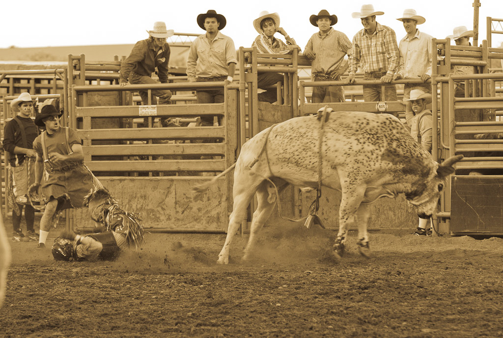 Colorado Bullriders 1