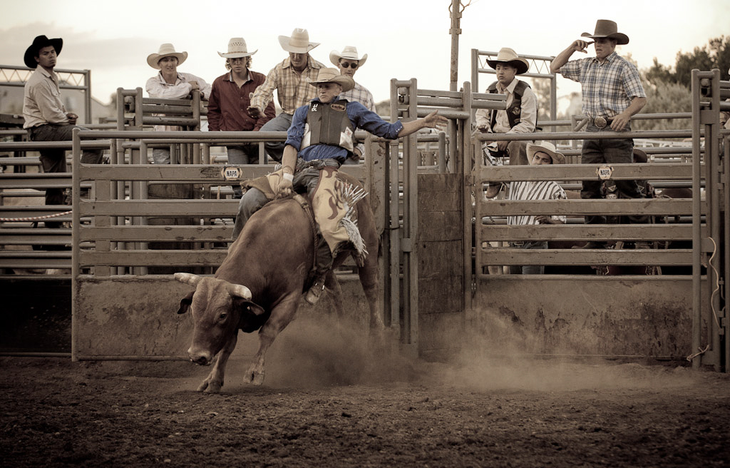 Colorado Bullriders 2