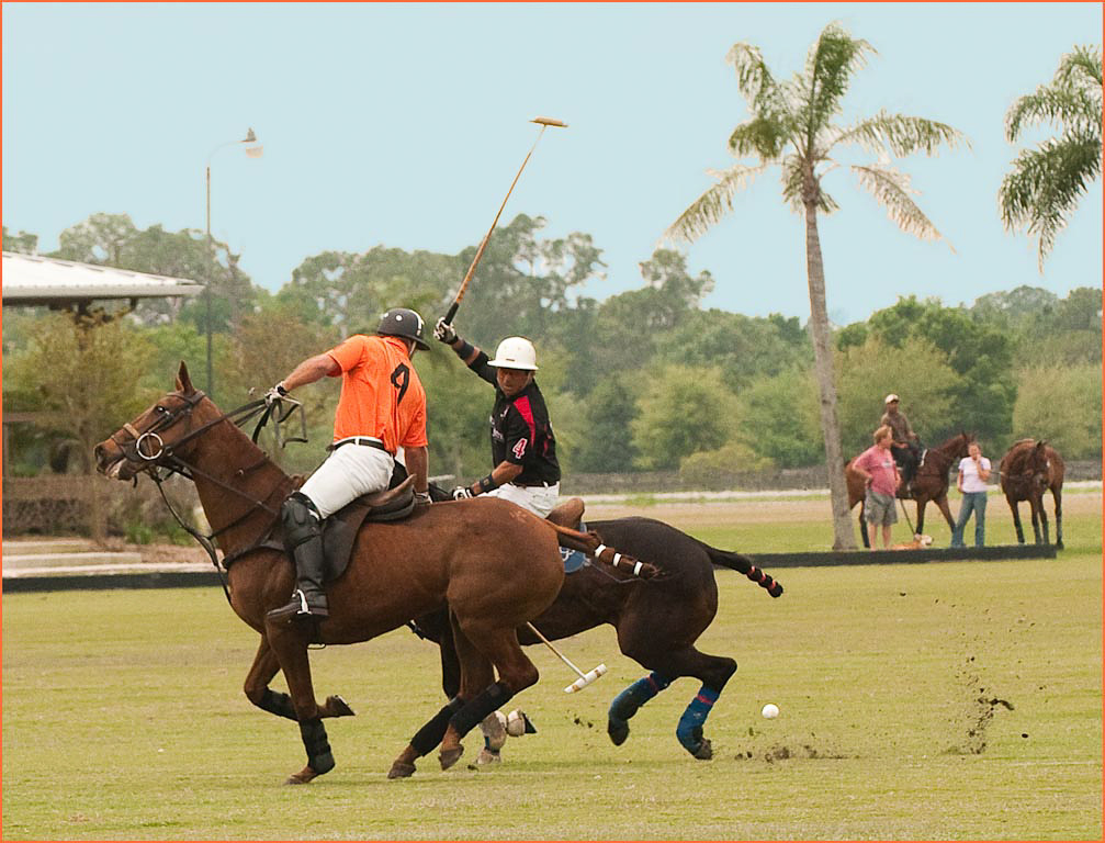 Sarasota Polo 1