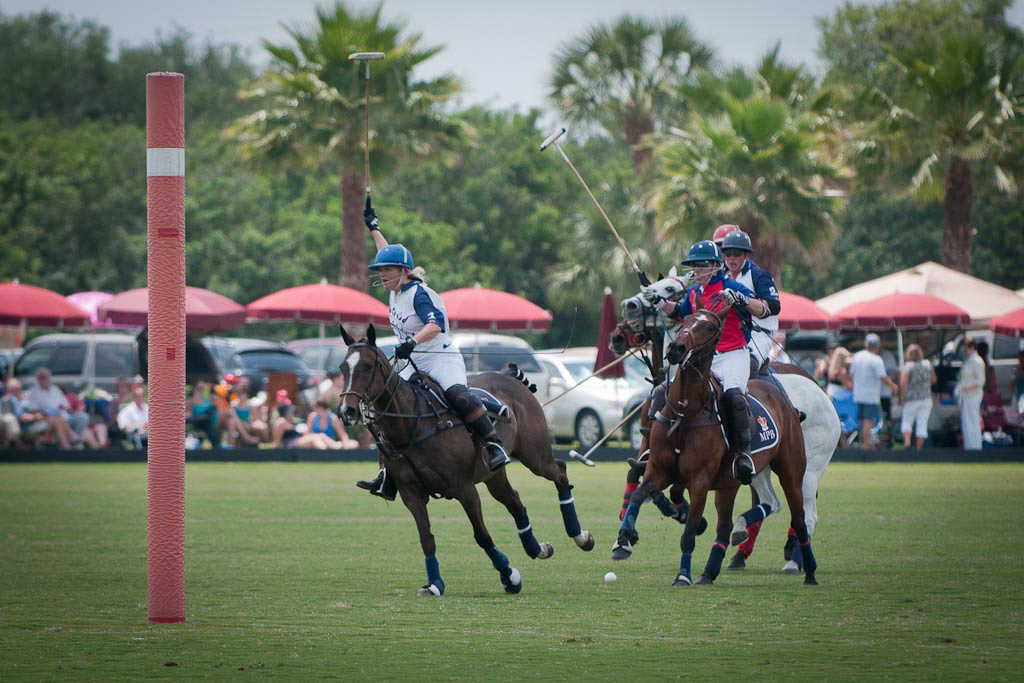Sarasota Polo 2