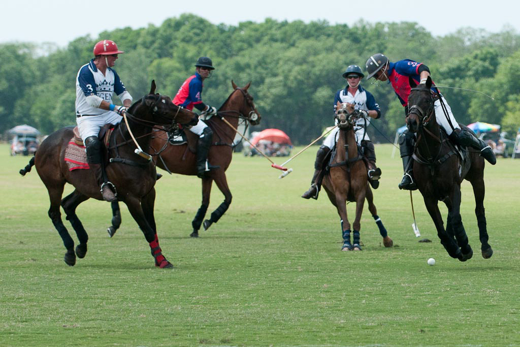 Sarasota Polo 3