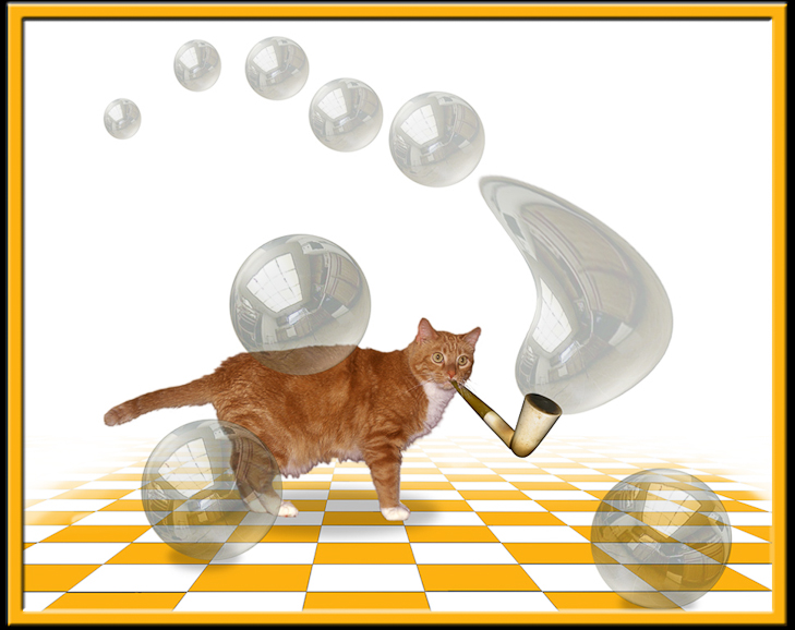 Cat Blows Bubbles
