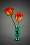Flowers in a Vase by Roy Colbert