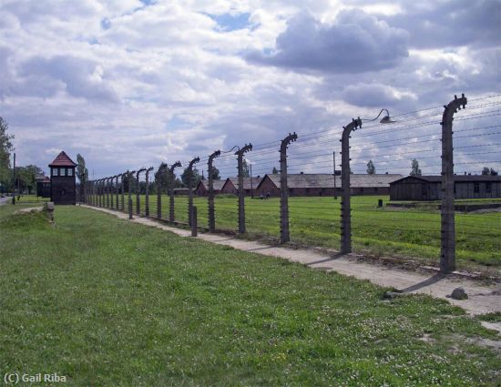 Missing Image: i_0036.jpg - Birkenau