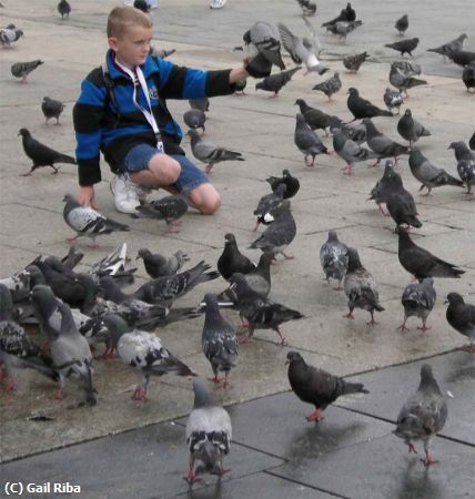 Missing Image: i_0003.jpg - boy and pidgeons