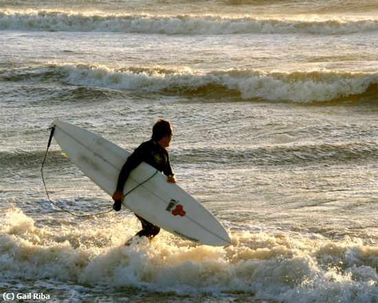 Missing Image: i_0018.jpg - Surfer at sunset