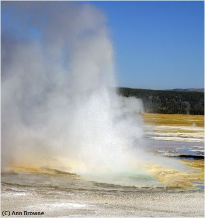Missing Image: i_0046.jpg - Clepsydra Geyser