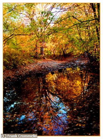 Missing Image: i_0006.jpg - Wilderness Pond