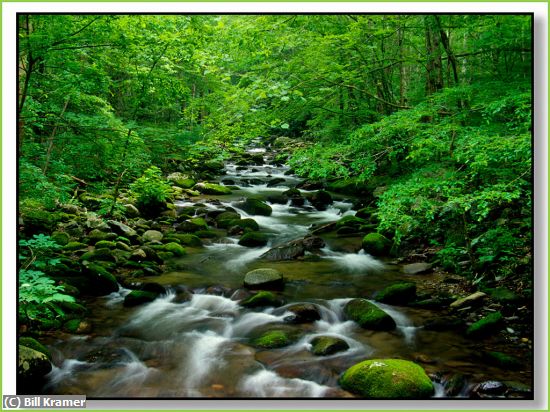 Missing Image: i_0008.jpg - Roaring Forks