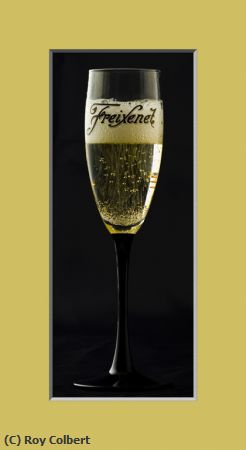 Missing Image: i_0011.jpg - Champagne In A Glass