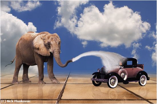 Missing Image: i_0028.jpg - Elephant Car Wash