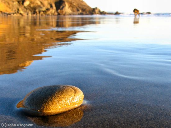 Missing Image: i_0007.jpg - Muir Beach