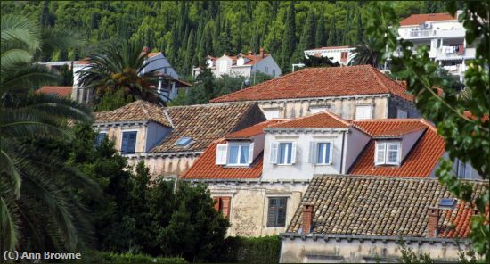 Missing Image: i_0046.jpg - Roofs among the trees