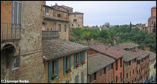 Missing Image: i_0050.jpg - Sienna Rooftops