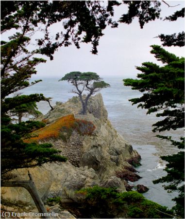 Missing Image: i_0003.jpg - Monterey Bay