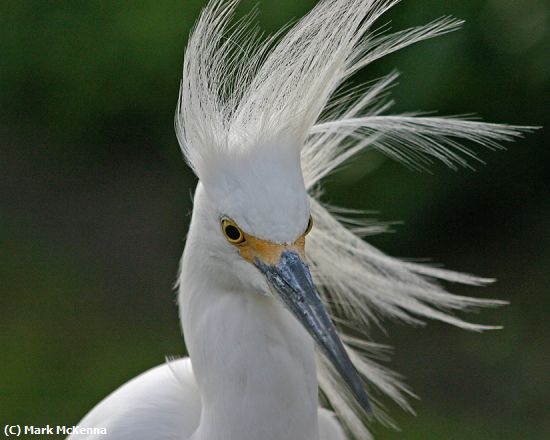 Missing Image: i_0025.jpg - Bad Hair Today