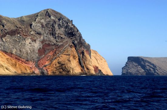 Missing Image: i_0028.jpg - GuadalupeIsland