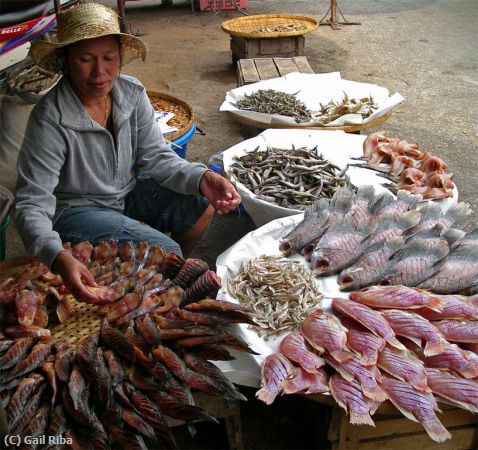 Missing Image: i_0041.jpg - Thai fishseller
