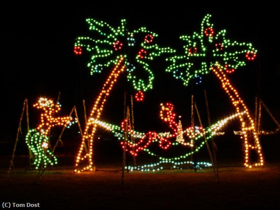 Missing Image: i_0036.jpg - Tropical Xmas