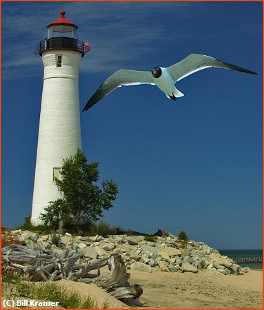 Missing Image: i_0003.jpg - Crisp Pte. with Gull