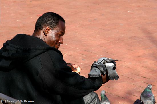 Missing Image: i_0015.jpg - Feeding Pigeons in the Park