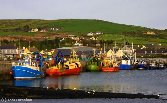 Missing Image: i_0023.jpg - Dingle Harbor