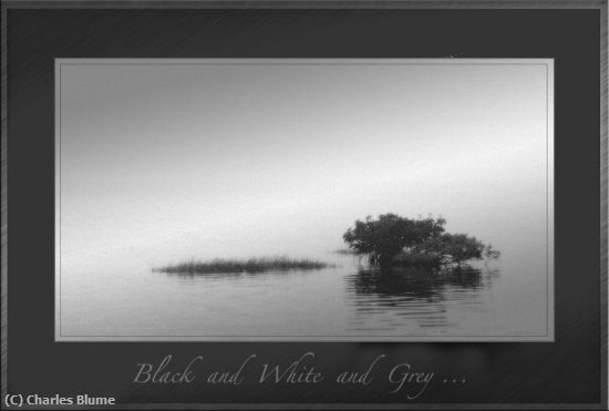 Missing Image: i_0006.jpg - BlackWhit