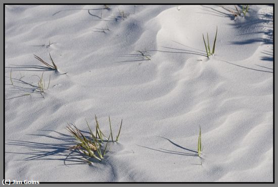 Missing Image: i_0052.jpg - Wet-shifted-sand