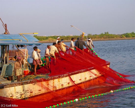 Missing Image: i_0008.jpg - fishermen and nets