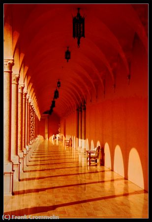 Missing Image: i_0054.jpg - Ringling