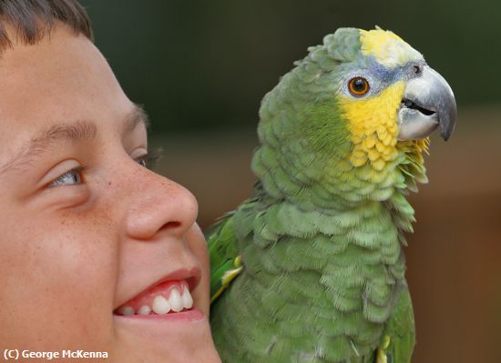 Missing Image: i_0037.jpg - Boy & Parrot