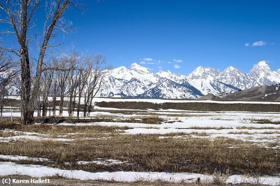 Missing Image: i_0045.jpg - Teton-Spring