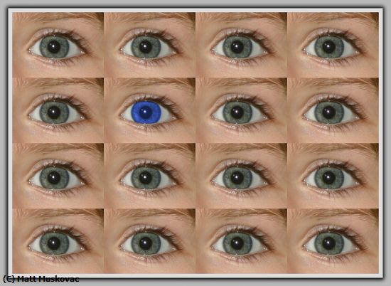 Missing Image: i_0041.jpg - Eyes