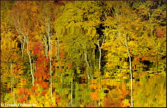 Missing Image: i_0008.jpg - Autumn-Mosaic