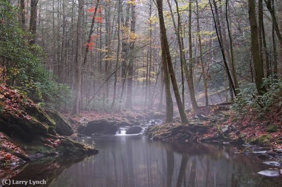 Missing Image: i_0054.jpg - Laurel Creek Great Smoky Mtns.