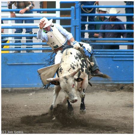 Missing Image: i_0022.jpg - Bull Rider