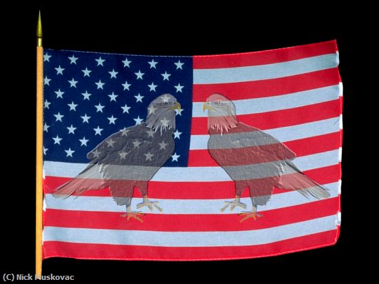 Missing Image: i_0007.jpg - Double Eagle