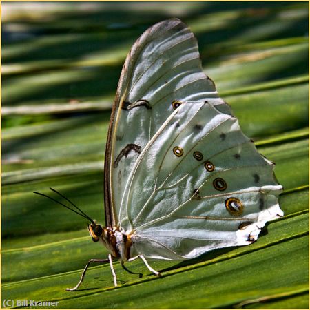 Missing Image: i_0021.jpg - Sitting-Pretty