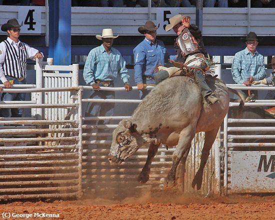 Missing Image: i_0028.jpg - Bull Rider