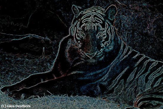 Missing Image: i_0047.jpg - Neon Tiger
