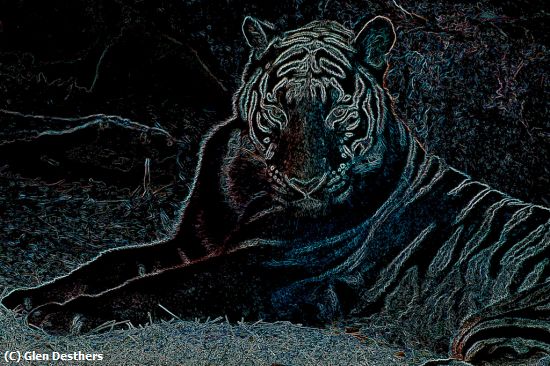 Missing Image: i_0047.jpg - Neon Tiger