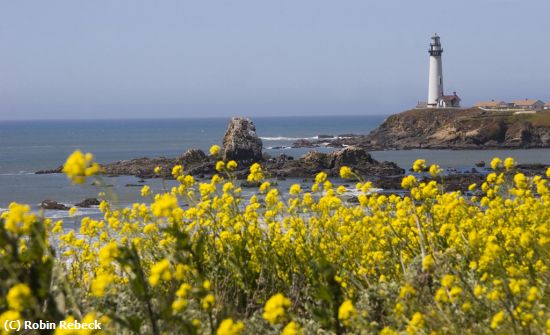 Missing Image: i_0007.jpg - pacific coast hwy