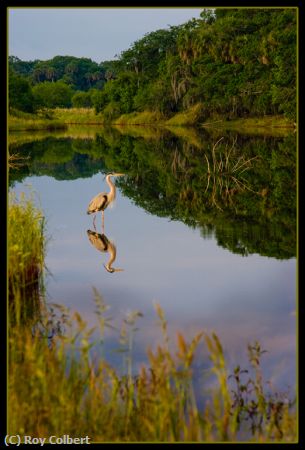 Missing Image: i_0030.jpg - Myakka-River-State-Park