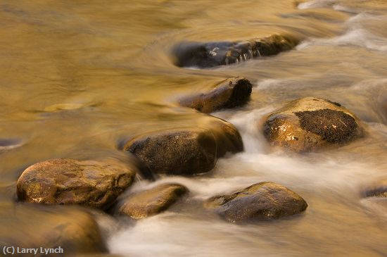 Missing Image: i_0047.jpg - Fall Reflections Great Smokies