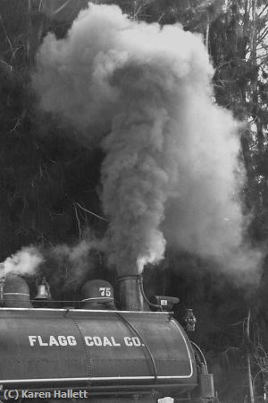 Missing Image: i_0019.jpg - STEAMER