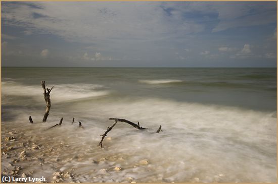 Missing Image: i_0033.jpg - Honeymoon Island Seascape