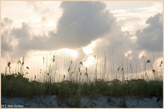 Missing Image: i_0042.jpg - sunrise-and-sea-oats