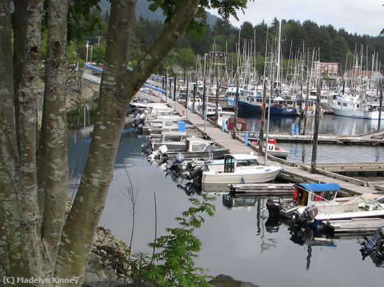 Missing Image: i_0018.jpg - Boats