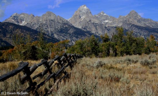 Missing Image: i_0029.jpg - Teton Landscape 9934