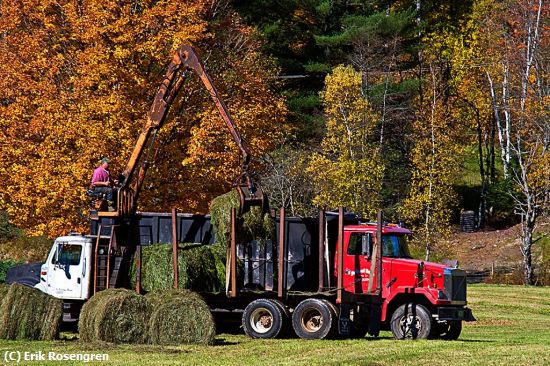 Missing Image: i_0046.jpg - moving-his-hay